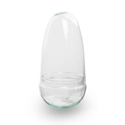 Egg - Terrarium - Two-part Glass Dome - Bottle Garden DIY Kit - Ø 12 Cm ↑ 25 Cm 23 Egg - Terrarium - Two-part Glass Dome - Bottle Garden DIY Kit - Ø 12 Cm ↑ 25 Cm -Plant Haven Home egg terrarium no hole 94fec914 85d3 4a1f ab05 204420961b5d
