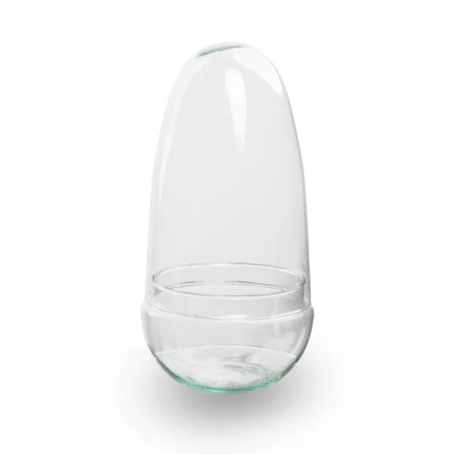 Egg - Terrarium - Two-part Glass Dome - Bottle Garden DIY Kit - Ø 12 Cm ↑ 25 Cm 23 Egg - Terrarium - Two-part Glass Dome - Bottle Garden DIY Kit - Ø 12 Cm ↑ 25 Cm -Plant Haven Home egg terrarium no hole 94fec914 85d3 4a1f ab05 204420961b5d