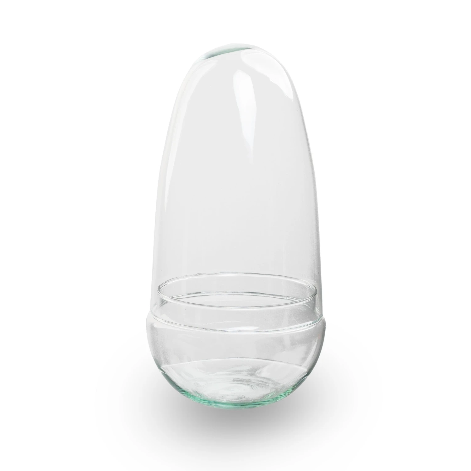 Egg - Terrarium - Two-part Glass Dome - Bottle Garden DIY Kit - Ø 12 Cm ↑ 25 Cm 12 Egg - Terrarium - Two-part Glass Dome - Bottle Garden DIY Kit - Ø 12 Cm ↑ 25 Cm - Image 12