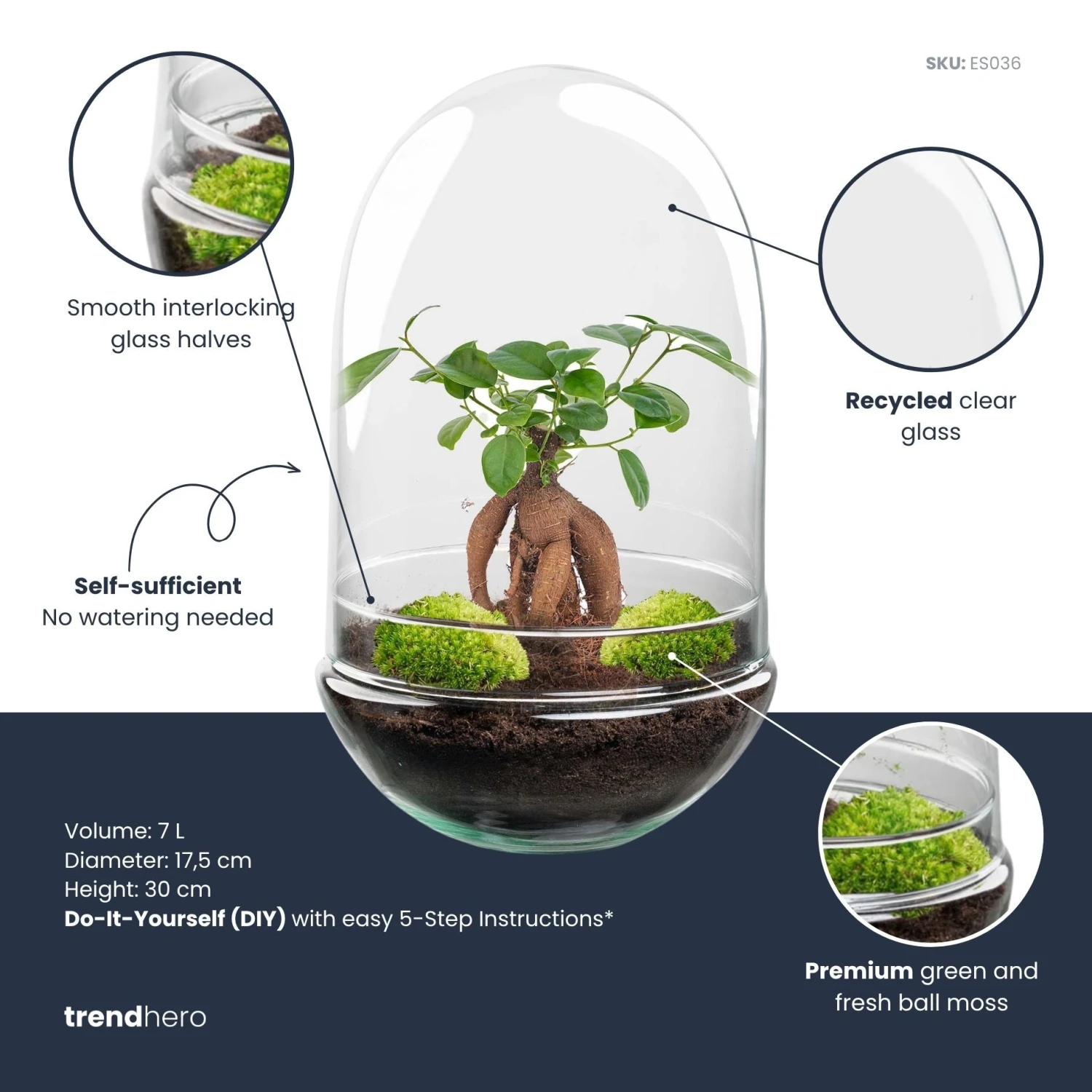 Egg XL Bonsai - Terrarium - Two-part Glass Dome - Bottle Garden DIY Kit - Ø 17.5 Cm ↑ 30 Cm 2 Egg XL Bonsai - Terrarium - Two-part Glass Dome - Bottle Garden DIY Kit - Ø 17.5 Cm ↑ 30 Cm - Image 2