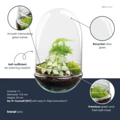 Egg XL - Terrarium - Two-part Glass Dome - Bottle Garden DIY Kit - Ø 17.5 Cm ↑ 30 Cm -Plant Haven Home egg xl plant terrarium diy kit info trendhero