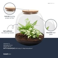 Emma Mini - Terrarium With Cork - Bottle Garden DIY Kit - Ø 19 Cm ↑ 20 Cm -Plant Haven Home emma mini white plant terrarium diy kit info trendhero