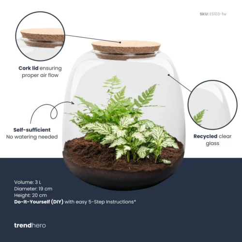 Emma Mini - Terrarium With Cork - Bottle Garden DIY Kit - Ø 19 Cm ↑ 20 Cm -Plant Haven Home emma mini white plant terrarium diy kit info trendhero