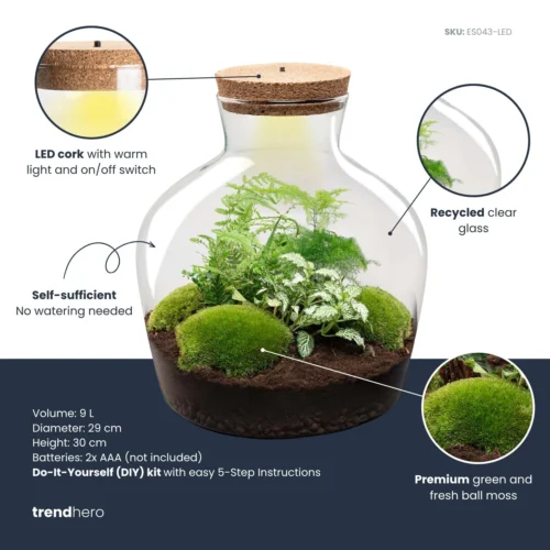 Fat Joe Green - Terrarium With Light - Bottle Garden DIY Kit - Ø 29 Cm ↑ 30 Cm -Plant Haven Home fatjoe green plant terrarium diy kit info trendhero b99fd343 a730 494d 9ecb 3934aaf20695