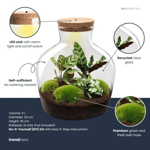 Fat Joe - Terrarium With Light - Bottle Garden DIY Kit - Ø 29 Cm ↑ 30 Cm -Plant Haven Home fatjoe plant terrarium diy kit info trendhero 5f00b398 f9ac 4395 947d a64cda47a68e