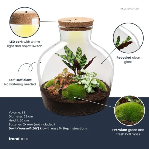 Fat Joe Red - Terrarium With Light - Bottle Garden DIY Kit - Ø 29 Cm ↑ 30 Cm -Plant Haven Home fatjoe red plant terrarium diy kit info trendhero