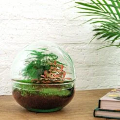 Dome Red - Two-part Round Glass Terrarium - Bottle Garden DIY Kit - Ø 20 Cm ↑ 20 Cm -Plant Haven Home flaschengarten kit dome rot