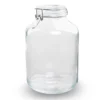 Terrarium Bottle ‘Fido' - Closed Weck Jar - Ø 18 Cm ↑ 28 Cm