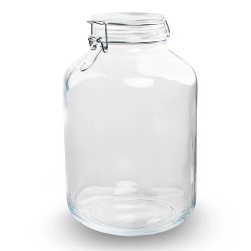 Terrarium Bottle ‘Fido' - Closed Weck Jar - Ø 18 Cm ↑ 28 Cm