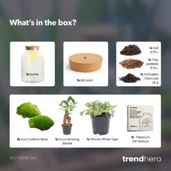 Little Milky - Terrarium With Light - Bottle Garden DIY Kit - Ø 17 Cm ↑ 25 Cm -Plant Haven Home little Milky bonsai white tiger terrarium diy bottle garden 63e9da2c 9e75 4591 bf0d ebb001b0c78f