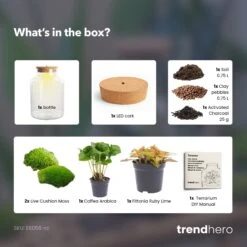 Little Milky - Terrarium With Light - Bottle Garden DIY Kit - Ø 17 Cm ↑ 25 Cm -Plant Haven Home little Milky coffea ruby lime terrarium diy bottle garden