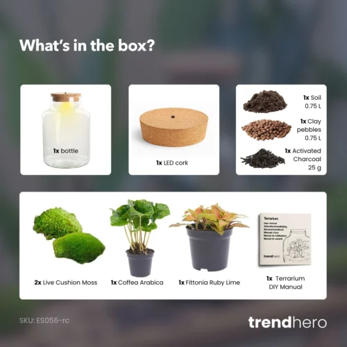 Little Milky - Terrarium With Light - Bottle Garden DIY Kit - Ø 17 Cm ↑ 25 Cm -Plant Haven Home little Milky coffea ruby lime terrarium diy bottle garden