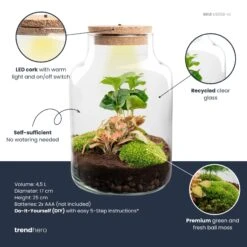 Little Milky - Terrarium With Light - Bottle Garden DIY Kit - Ø 17 Cm ↑ 25 Cm -Plant Haven Home little milky red coffea plant terrarium diy kit info trendhero