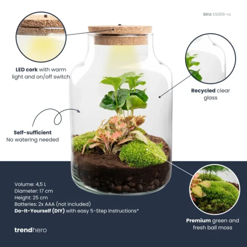 Little Milky - Terrarium With Light - Bottle Garden DIY Kit - Ø 17 Cm ↑ 25 Cm -Plant Haven Home little milky red coffea plant terrarium diy kit info trendhero
