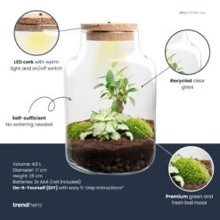 Little Milky - Terrarium With Light - Bottle Garden DIY Kit - Ø 17 Cm ↑ 25 Cm -Plant Haven Home little milky white bonsai plant terrarium diy kit info trendhero