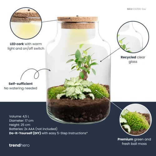 Little Milky - Terrarium With Light - Bottle Garden DIY Kit - Ø 17 Cm ↑ 25 Cm -Plant Haven Home little milky white bonsai plant terrarium diy kit info trendhero