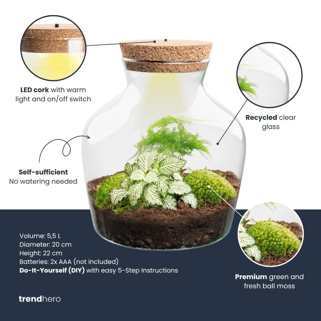 Little Joe - Terrarium With Light - Bottle Garden DIY Kit - Ø 20 Cm ↑ 22 Cm 2 Little Joe - Terrarium With Light - Bottle Garden DIY Kit - Ø 20 Cm ↑ 22 Cm - Image 2