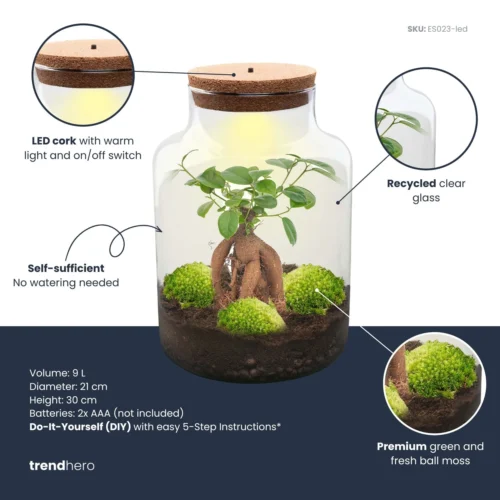 Milky Bonsai - Terrarium - Bottle Garden DIY Kit - Ø 21 Cm ↑ 30 Cm -Plant Haven Home milky bonsai plant terrarium diy kit info trendhero