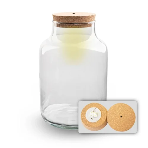 Terrarium Bottle 'Milky' With LED-lighting - Closed Terrarium Ø 21 Cm ↑ 30 Cm -Plant Haven Home milky met led verlichting terrarium fles 1