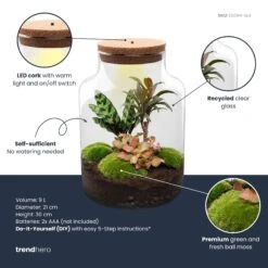 Milky Palm - Terrarium - Bottle Garden DIY Kit - Ø 21 Cm ↑ 30 Cm 7 Milky Palm - Terrarium - Bottle Garden DIY Kit - Ø 21 Cm ↑ 30 Cm -Plant Haven Home milky palm plant terrarium diy kit info trendhero