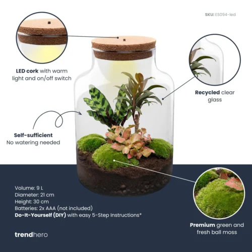 Milky Palm - Terrarium - Bottle Garden DIY Kit - Ø 21 Cm ↑ 30 Cm 7 Milky Palm - Terrarium - Bottle Garden DIY Kit - Ø 21 Cm ↑ 30 Cm -Plant Haven Home milky palm plant terrarium diy kit info trendhero