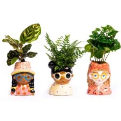 Mini Flower Pot Multi Color – Mini Jessica - ↑ 10.5 Cm - Face Head 11 Mini Flower Pot Multi Color – Mini Jessica - ↑ 10.5 Cm - Face Head -Plant Haven Home mini planten 3stuks gezicht potje 53a40ddb 9e03 47c2 aa14 975d08a941a8