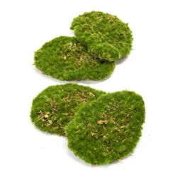 Moss Plate - Green Moss – Set Of 4 - Artificial Moss