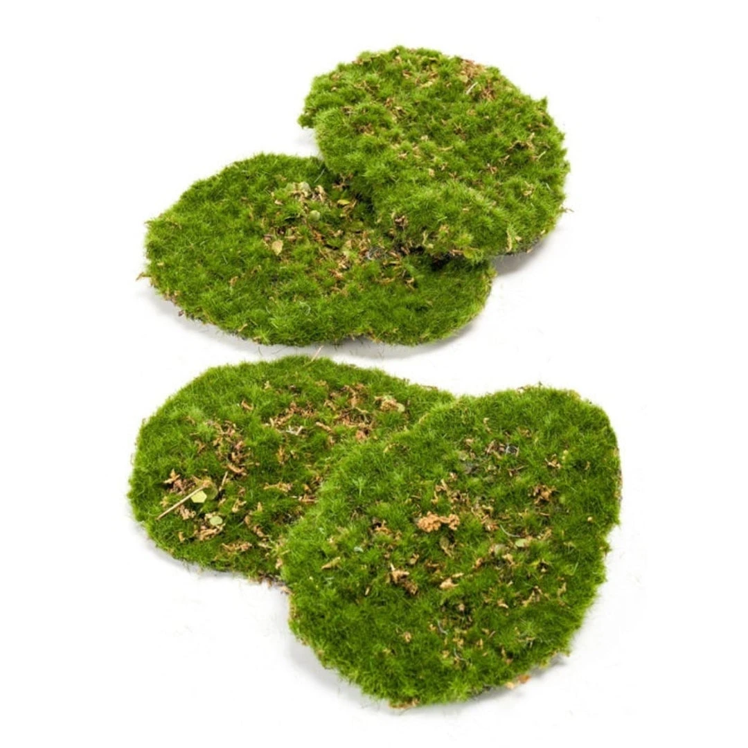Moss Plate - Green Moss – Set Of 4 - Artificial Moss 1 Moss Plate - Green Moss – Set Of 4 - Artificial Moss
