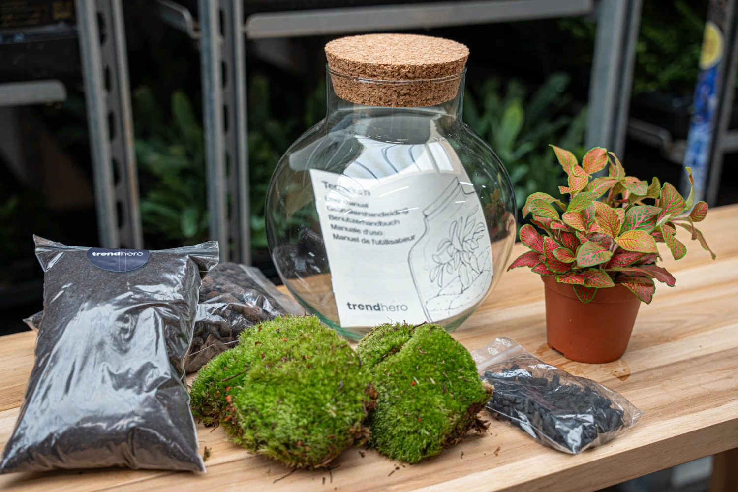Noah - Terrarium - Bottle Garden DIY Kit - Ø 18.5 Cm ↑ 19 Cm 10 Noah - Terrarium - Bottle Garden DIY Kit - Ø 18.5 Cm ↑ 19 Cm - Image 10