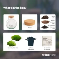 Noah - Terrarium - Bottle Garden DIY Kit - Ø 18.5 Cm ↑ 19 Cm 18 Noah - Terrarium - Bottle Garden DIY Kit - Ø 18.5 Cm ↑ 19 Cm -Plant Haven Home noah choose plant terrarium diy bottle garden 7ae91e73 54c0 452d 99f9 635c8609199d