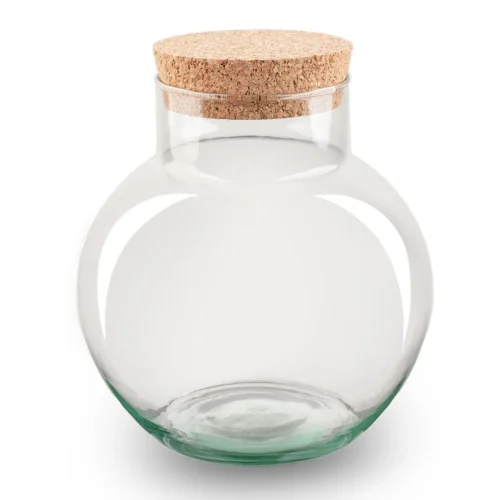 Terrarium Bottle ‘Noah' With Cork - Closed Terrarium Ø 18.5 Cm ↑ 19 Cm