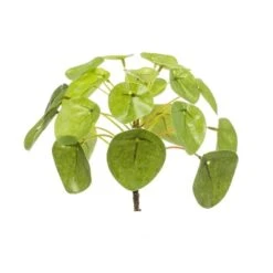 Emerald Pilea Mini Bush – Ø13 Cm - Artificial