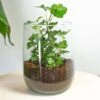 Vase Martin - DIY Kit - ↑ 17 Cm