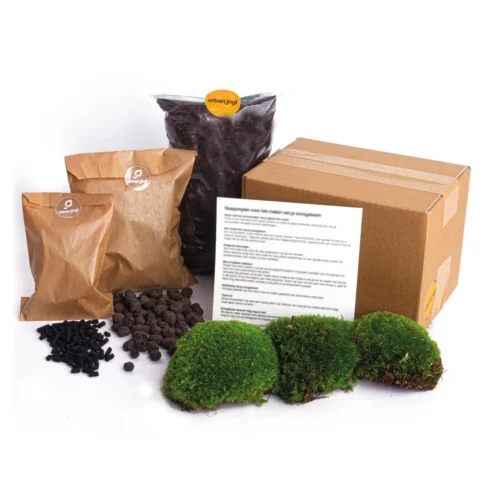 Terrarium Package – Refill & Starter Package – DIY Terrarium Kit – Size L/XL 7 Terrarium Package – Refill & Starter Package – DIY Terrarium Kit – Size L/XL -Plant Haven Home plant terrarium package 85277014 0cd1 4800 9e06 d2a2d027014d