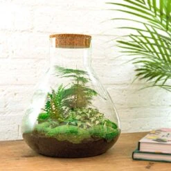 Sam XL - Terrarium With Light - Bottle Garden DIY Kit - Ø 30 cm ↑ 32 cm -Plant Haven Home sam xl diy terrarium flaschengarten 8eaccdfa a860 4027 bacd 2481f2245a1b