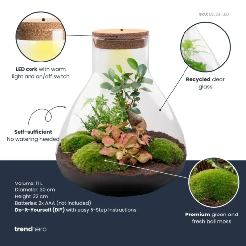 Sam XL Bonsai - Terrarium With Light - Bottle Garden DIY Kit - Ø 30 cm ↑ 32 cm 9 Sam XL Bonsai - Terrarium With Light - Bottle Garden DIY Kit - Ø 30 cm ↑ 32 cm -Plant Haven Home samxl bonsai plant terrarium diy kit info trendhero