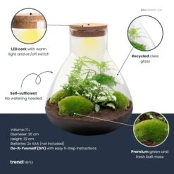 Sam XL - Terrarium With Light - Bottle Garden DIY Kit - Ø 30 cm ↑ 32 cm -Plant Haven Home samxl green plant terrarium diy kit info trendhero