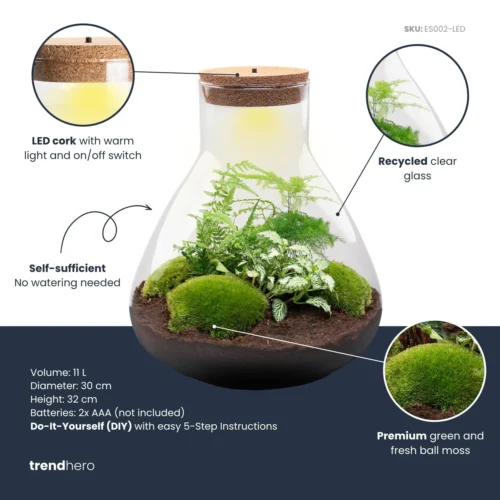 Sam XL - Terrarium With Light - Bottle Garden DIY Kit - Ø 30 cm ↑ 32 cm -Plant Haven Home samxl green plant terrarium diy kit info trendhero