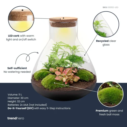 Sam XL Red - Terrarium With Light - Bottle Garden DIY Kit - Ø 30 cm ↑ 32 cm 8 Sam XL Red - Terrarium With Light - Bottle Garden DIY Kit - Ø 30 cm ↑ 32 cm -Plant Haven Home samxl red plant terrarium diy kit info trendhero