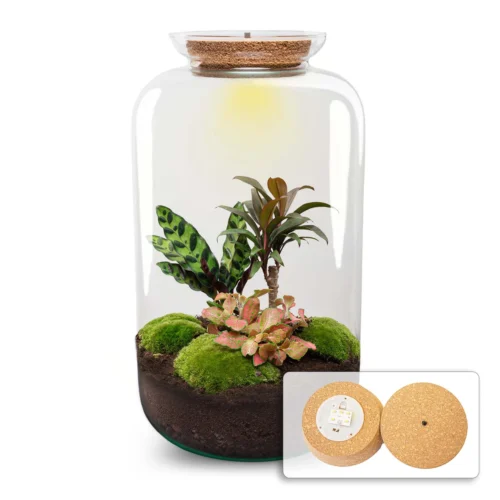 Sven XL Palm - Terrarium With Light - Bottle Garden DIY Kit - Ø 23 Cm ↑ 43 Cm