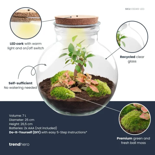 Teddy Bonsai - Terrarium With Light - Bottle Garden DIY Kit - Ø 25 Cm ↑ 26,5 Cm -Plant Haven Home teddy bonsai red plant terrarium diy kit info trendhero 291a060f a4bc 4809 b64b 3d20f5523529