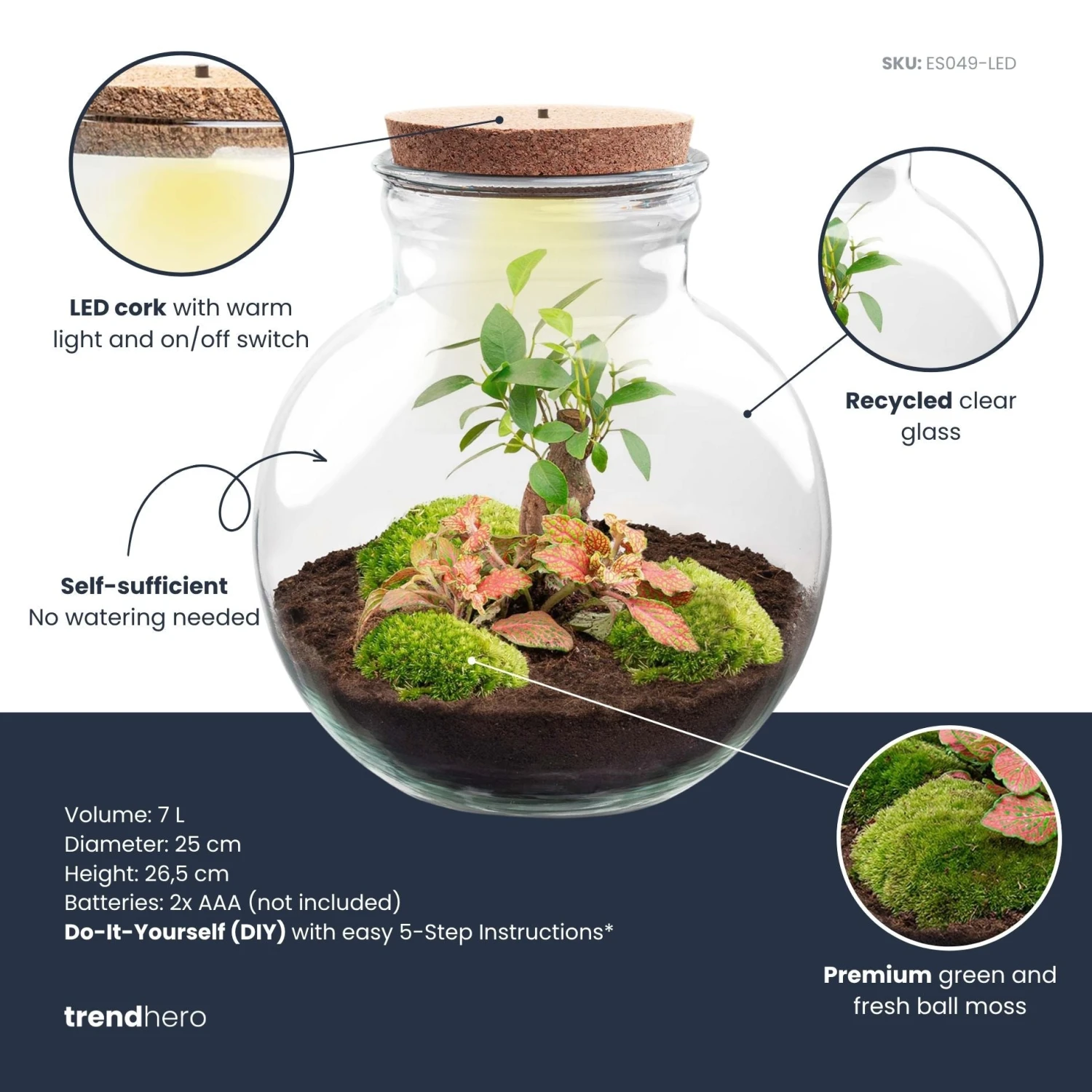 Teddy Bonsai - Terrarium With Light - Bottle Garden DIY Kit - Ø 25 Cm ↑ 26,5 Cm 3 Teddy Bonsai - Terrarium With Light - Bottle Garden DIY Kit - Ø 25 Cm ↑ 26,5 Cm - Image 3