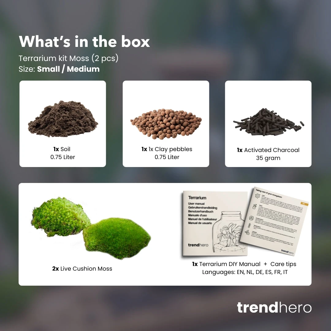 Terrarium Package – Refill & Starter Package – DIY Terrarium Kit – Size S/M 2 Terrarium Package – Refill & Starter Package – DIY Terrarium Kit – Size S/M - Image 2