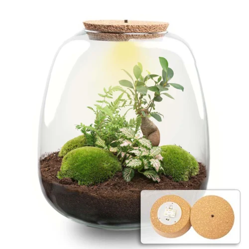 Emma - Terrarium With Light - Bottle Garden DIY Kit - Ø 23 Cm ↑ 25 Cm -Plant Haven Home terrarium emma bonsai pink light