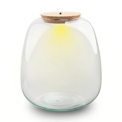 Terrarium Bottle ‘Emma' - Incl. LED Cork - Closed Terrarium Ø 23 Cm ↑ 25 Cm