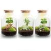 Little Milky - Terrarium With Light - Bottle Garden DIY Kit - Ø 17 Cm ↑ 25 Cm