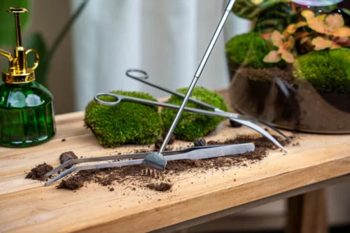 Terrarium Tools Bundle – Black Friday Deal 5 Terrarium Tools Bundle – Black Friday Deal -Plant Haven Home terrarium flaschengarten tools werbe gereedschap kits diy 6c948313 9712 4aff a3fc 6aebbade348e