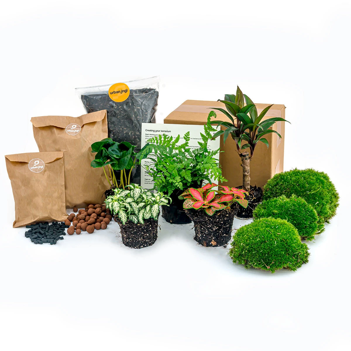 Jungle 5 - Plant Terrarium Refill & Starter Kit - 5 Terrarium Plants - DIY 1 Jungle 5 - Plant Terrarium Refill & Starter Kit - 5 Terrarium Plants - DIY