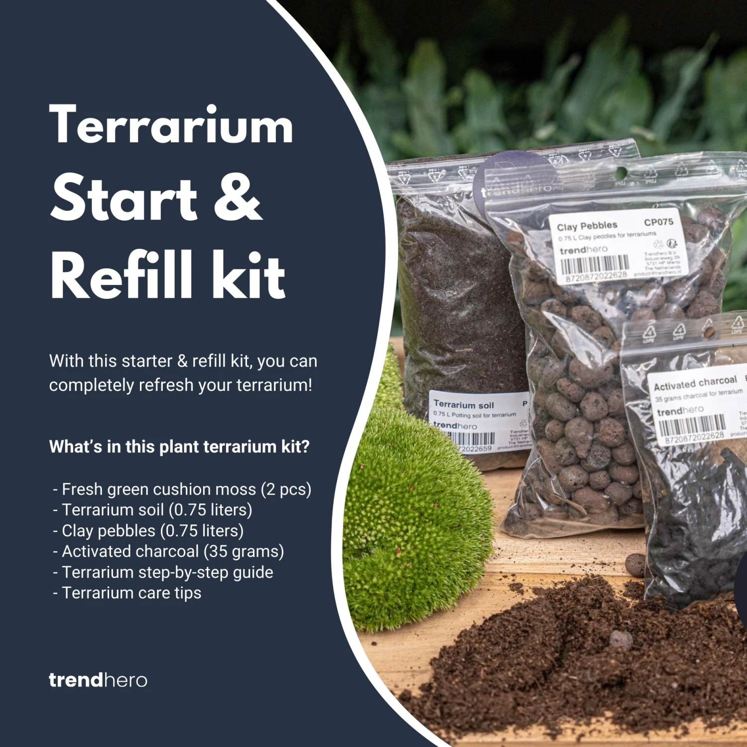 Terrarium Package – Refill & Starter Package – DIY Terrarium Kit – Size S/M 1 Terrarium Package – Refill & Starter Package – DIY Terrarium Kit – Size S/M
