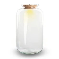Terrarium Bottle 'Sven XL' - Incl. LED Cork - Closed Terrarium Ø 23 Cm ↑ 43 Cm 7 Terrarium Bottle 'Sven XL' - Incl. LED Cork - Closed Terrarium Ø 23 Cm ↑ 43 Cm -Plant Haven Home terrarium sven xl flaschengarten 2